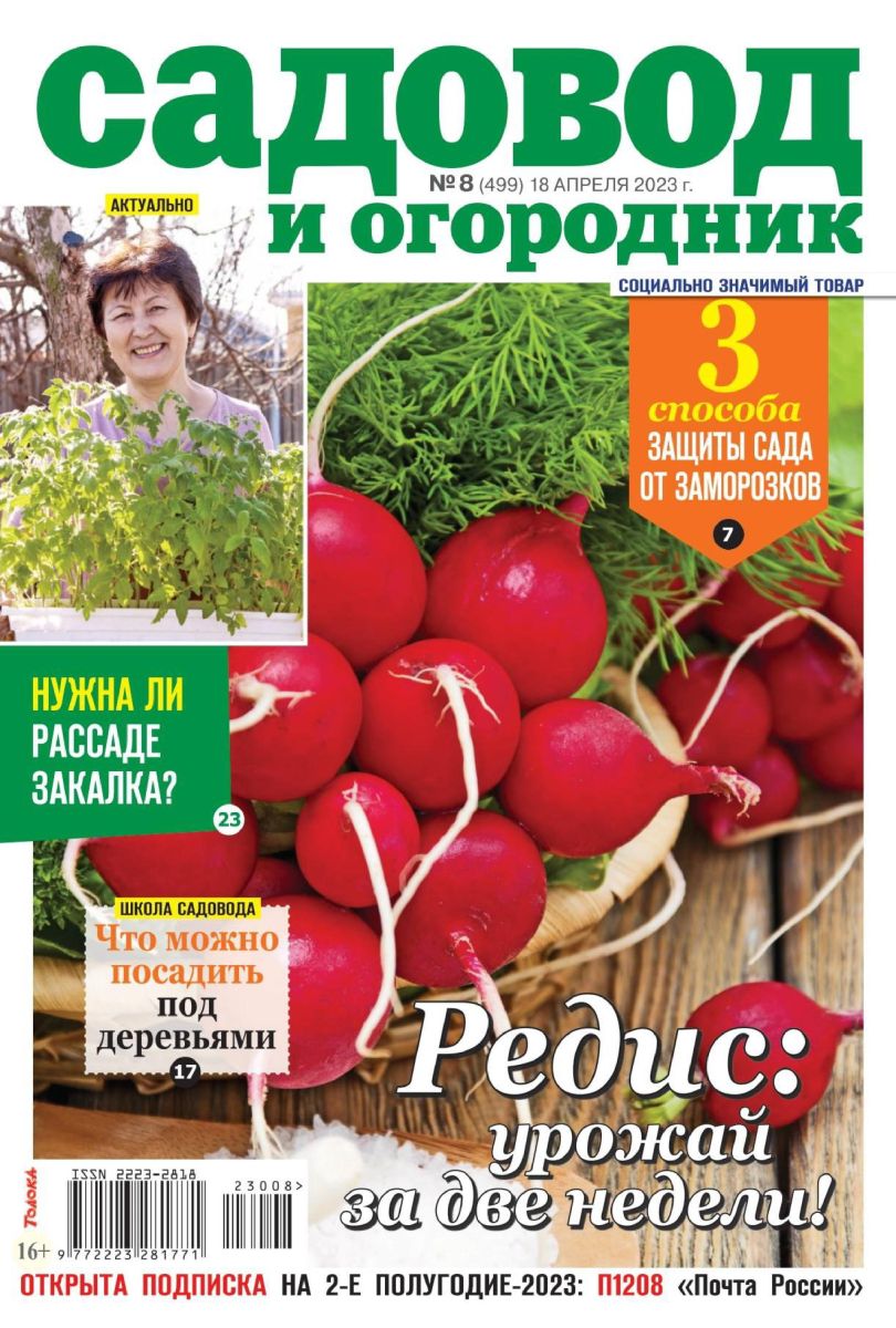 Журналы онлайн. Журнал «Садовод и огородник» | Амурская областная научная  библиотека имени Н. Н. Муравьева-Амурского