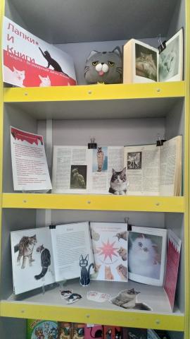 Фото:Амурская областная научная библиотека