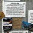 Фото: Амурская областная научная библиотека